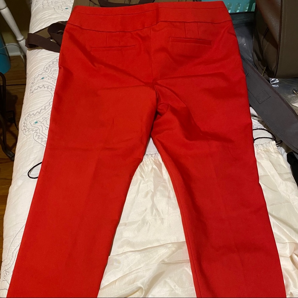 Loft Julie Skinny pants